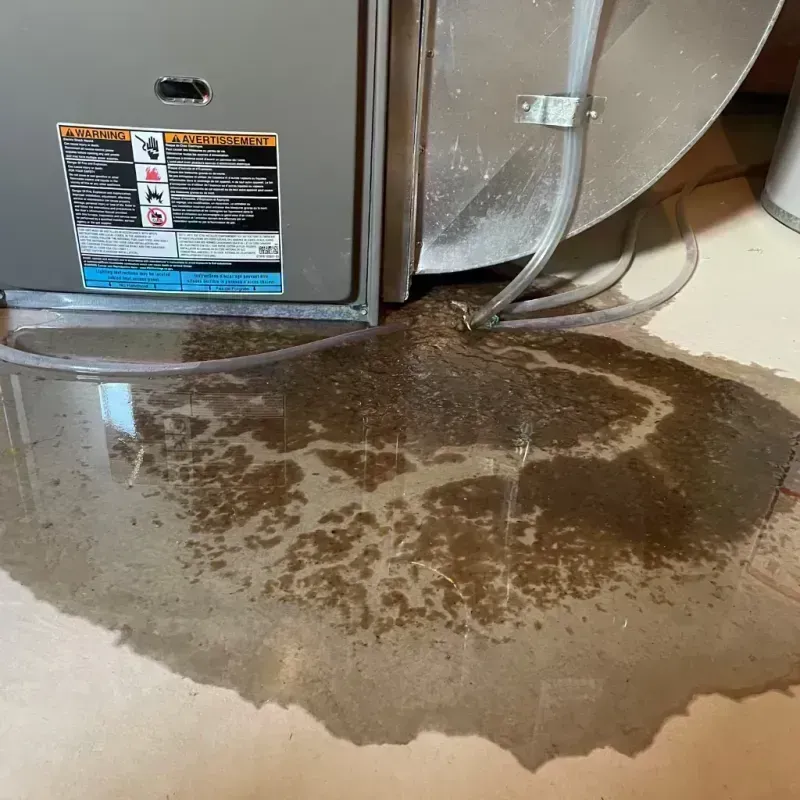 Appliance Leak Cleanup in Florence, CO